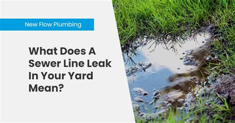 How to Tell if Sewer Pipe is Leaking in Yard